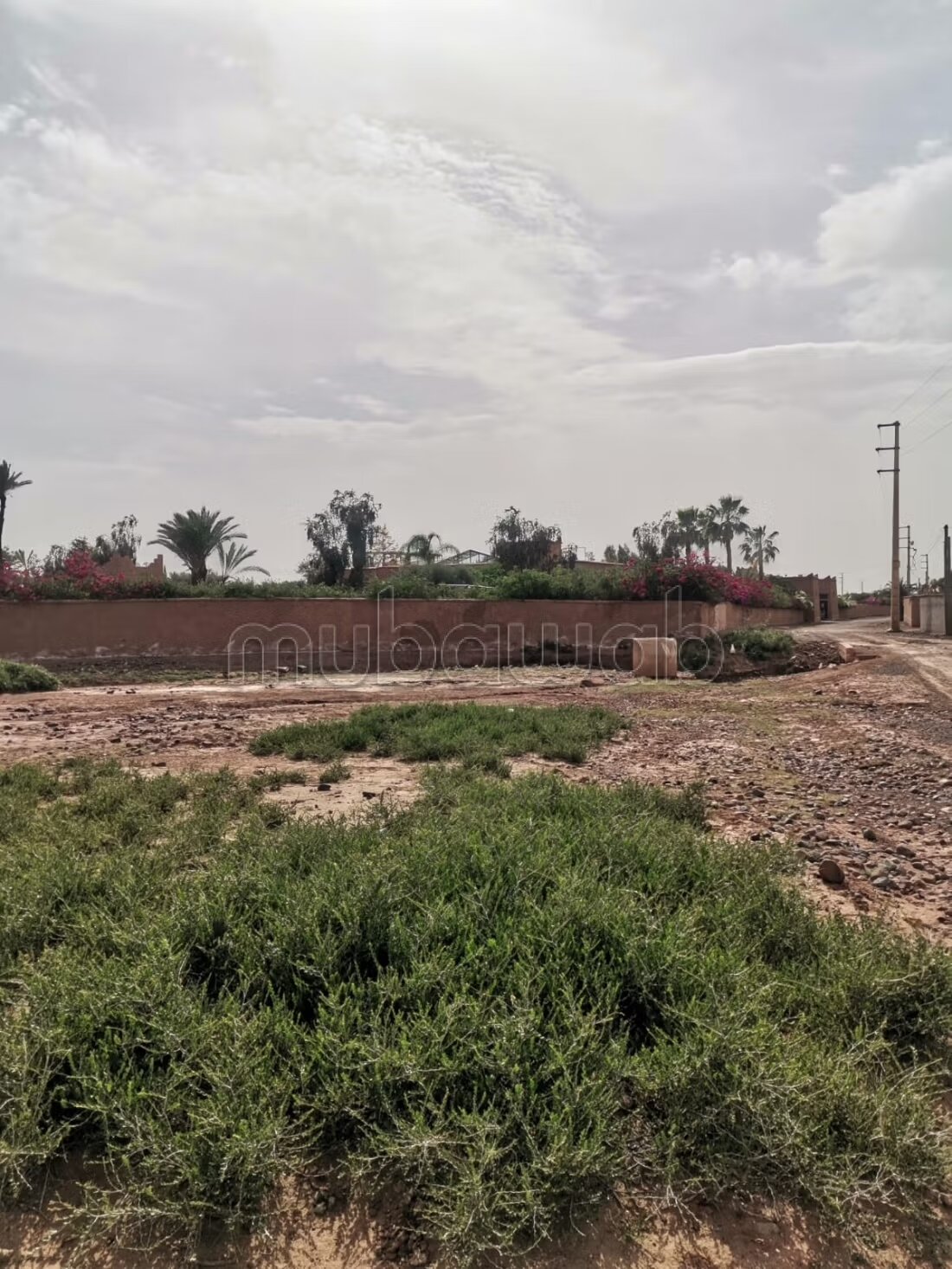 Terrain Titré 2000m² – Route amezmiz