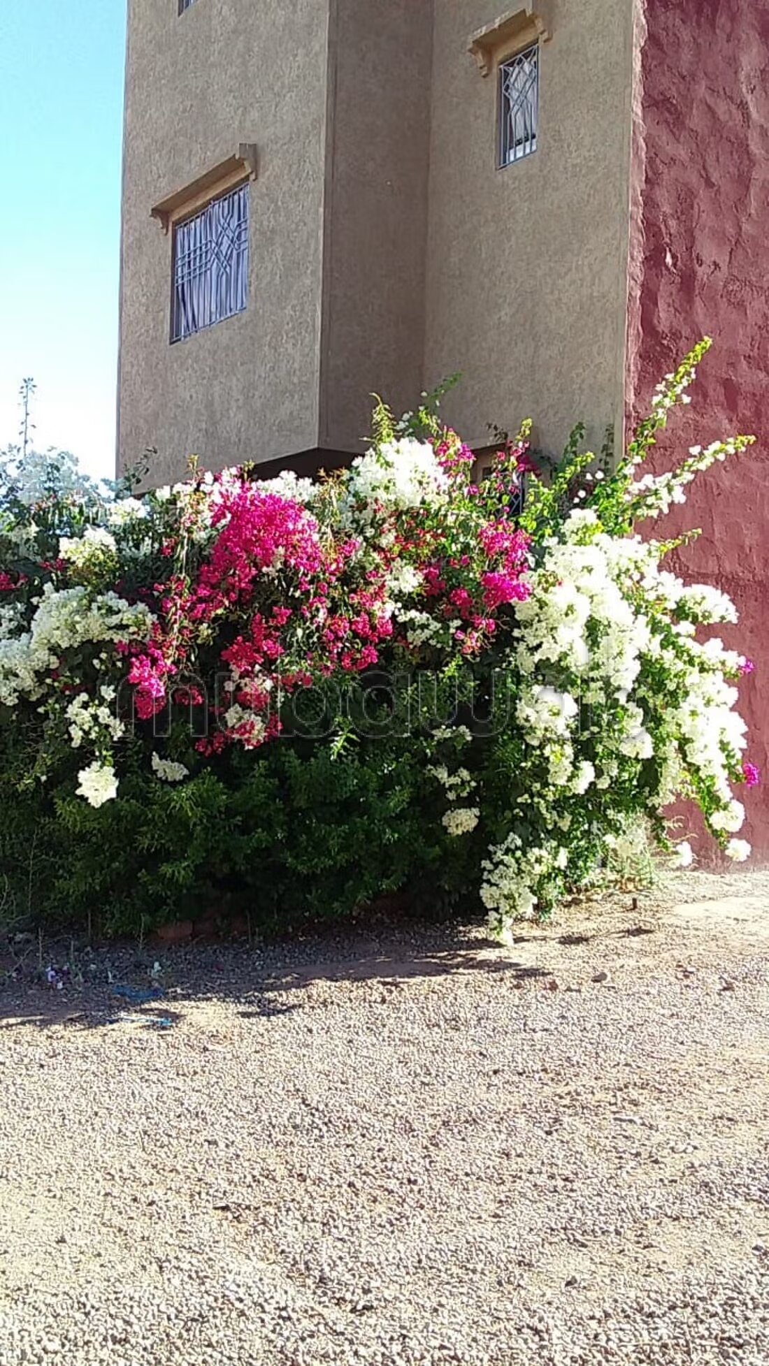 فيلا للبيع في مراكش — Photo 15