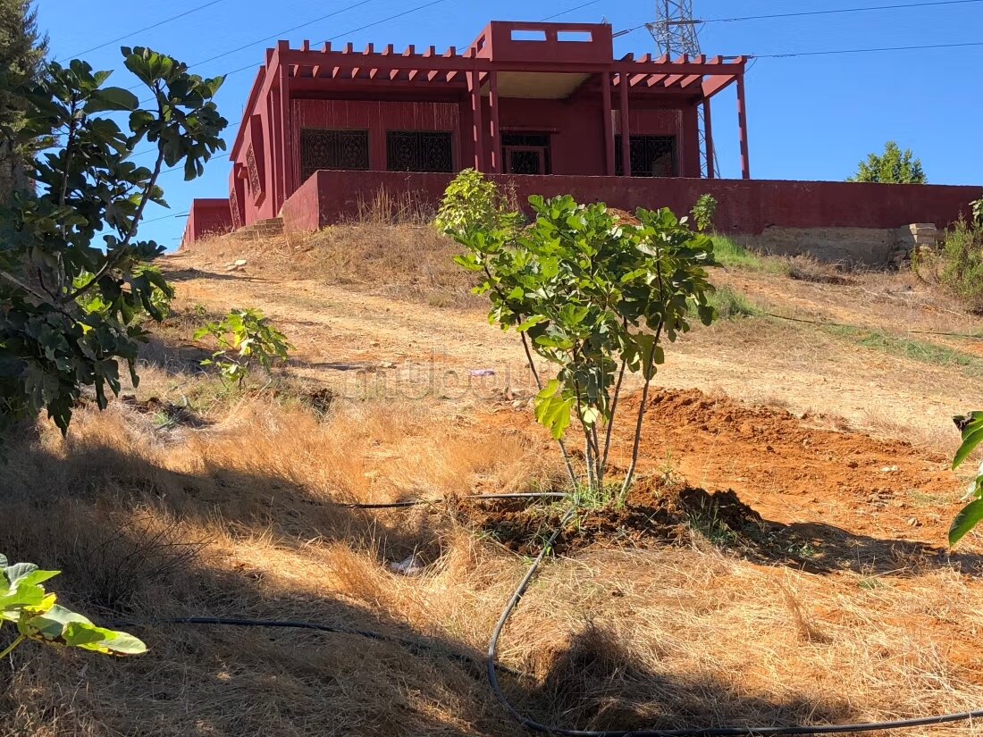 Ferme de 11000 m2 a Zhana a Kenitra