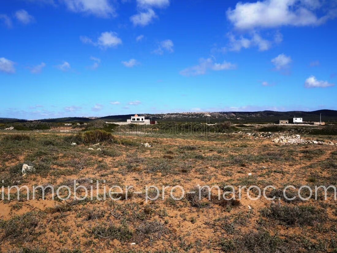 Terrain à vendre à Essaouira — Photo 4