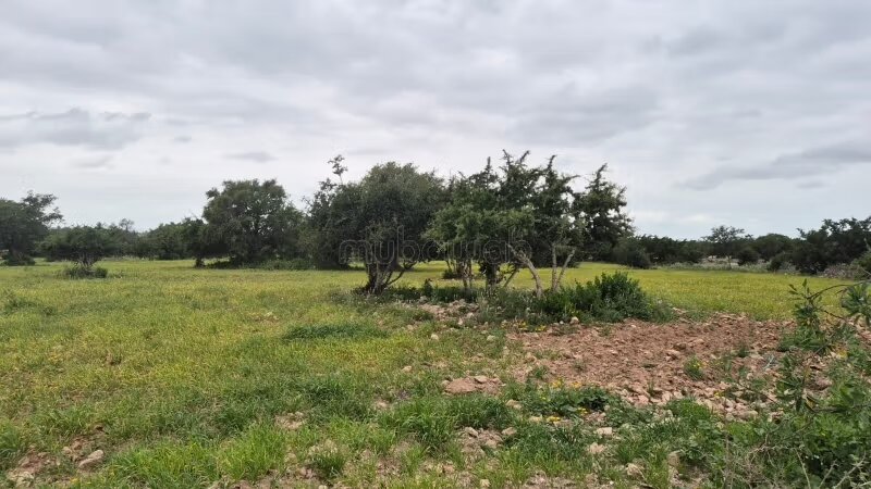 Terrain à vendre à Essaouira — Photo 10