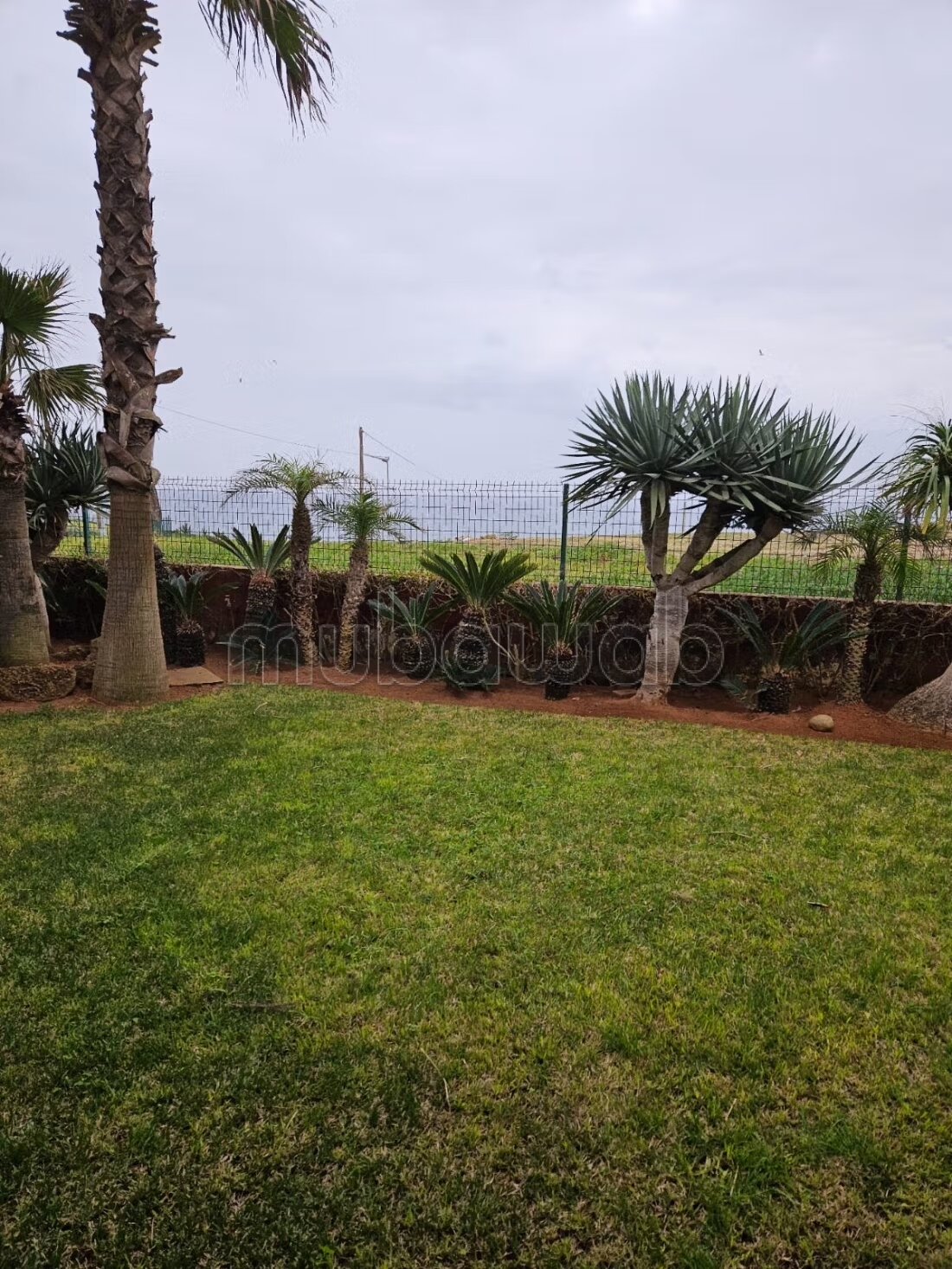 Villa 689 sqm for sale in Sidi Bouknadel — Photo 17