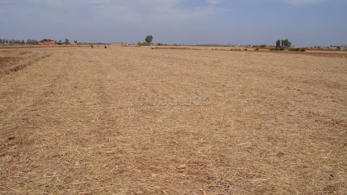 Land 18127 m² for sale in Casablanca — Photo 2
