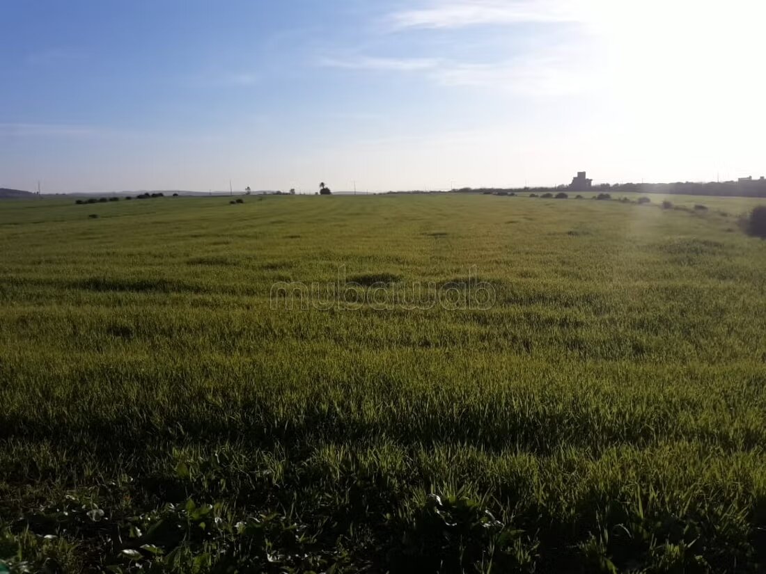 Land 18127 m² for sale in Casablanca — Photo 3