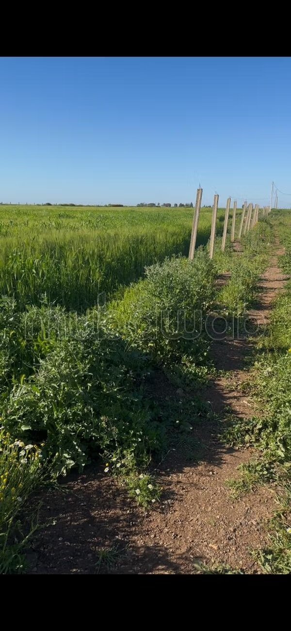 Land 18127 m² for sale in Casablanca — Photo 5