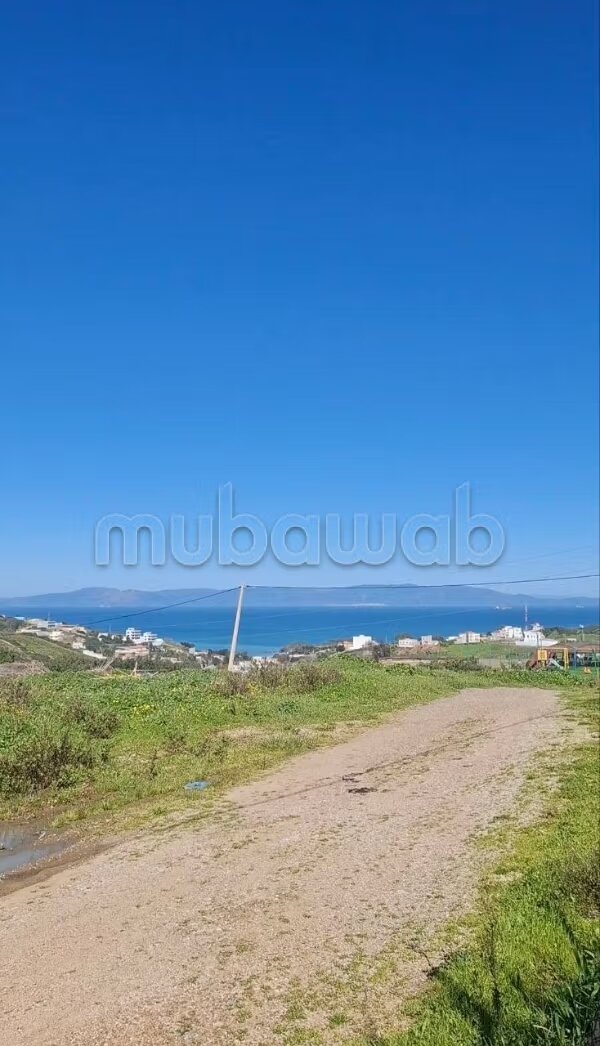 أرض 301 م² للبيع في طنجة — Photo 2