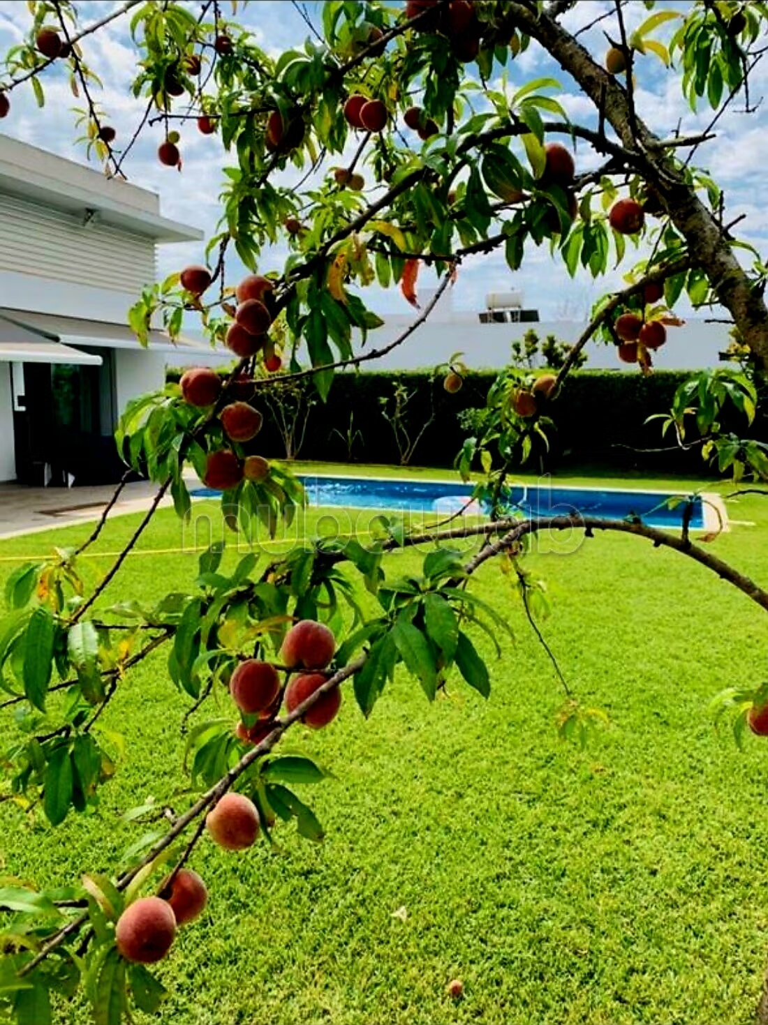 À VENDRE: Superbe villa contemporaine dans une résidence fer...