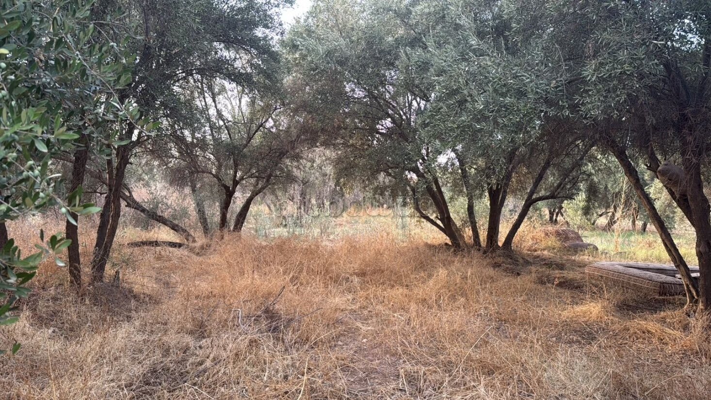 Terrain 2 Hectares et demi, 
Route Ourika
