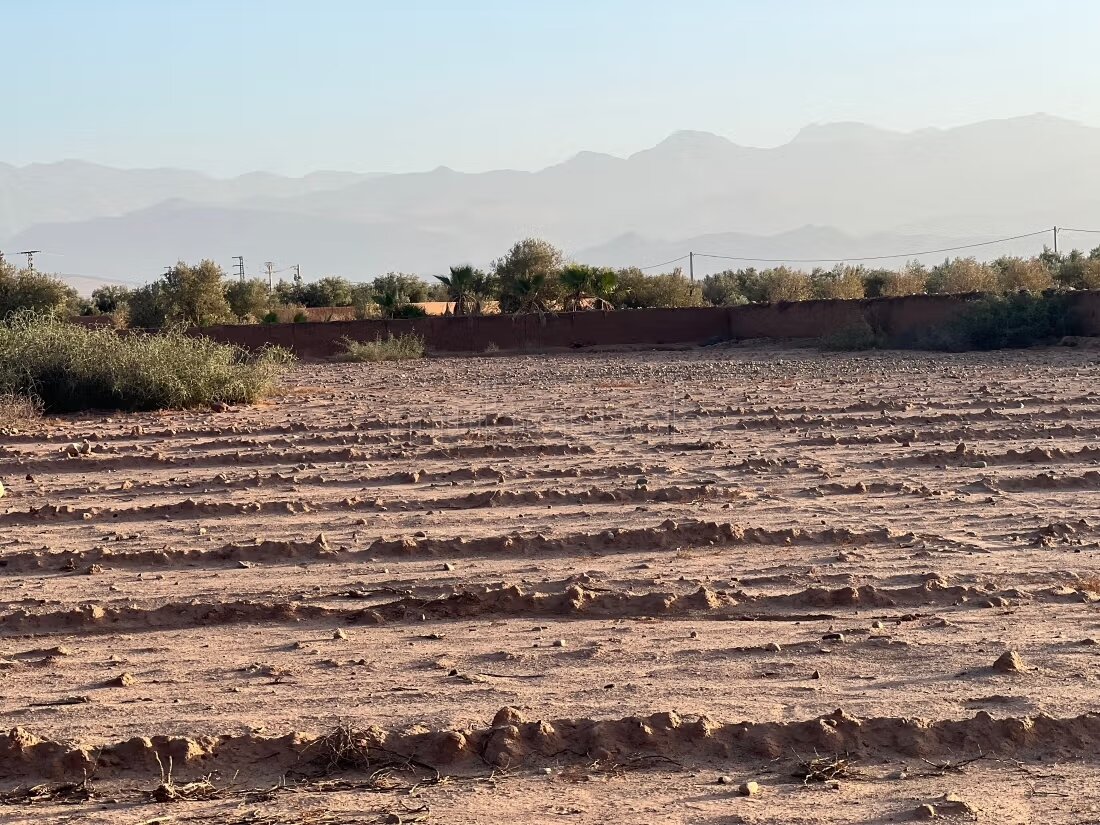 Terrain 2000 m² à vendre à Marrakech — Photo 4