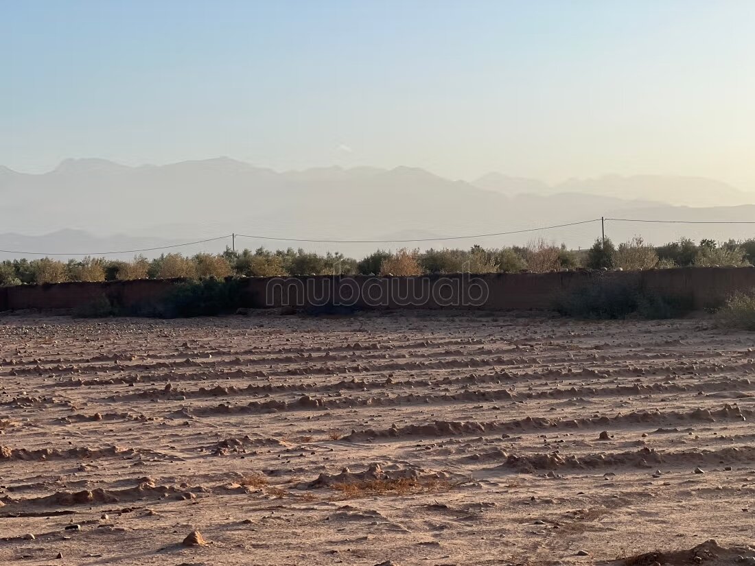 Terrain 2000 m² à vendre à Marrakech — Photo 5
