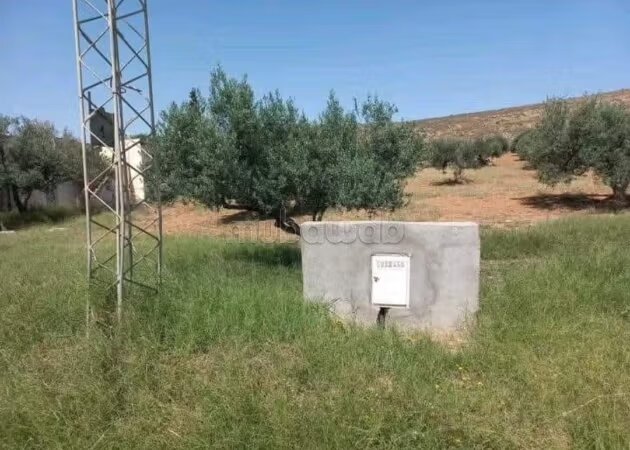 Terrain 2000 m² à vendre à Marrakech — Photo 9