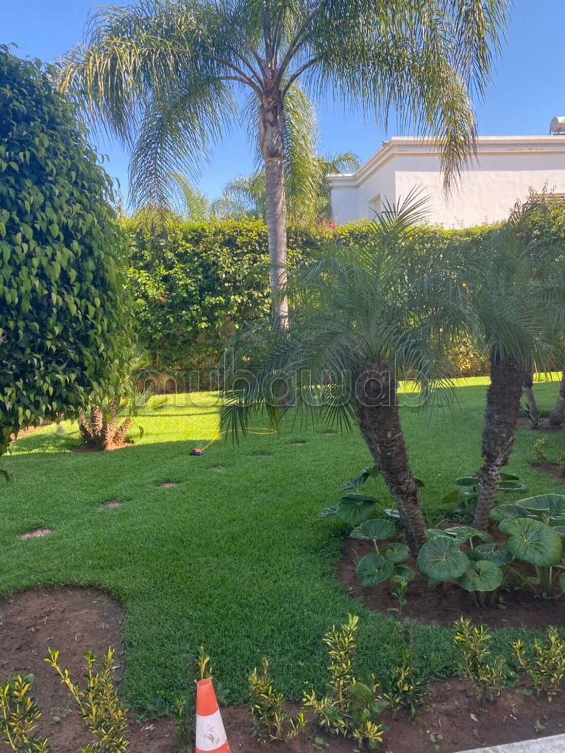 Terrain 4080 m² à vendre à Rabat (Souissi) à Rabat