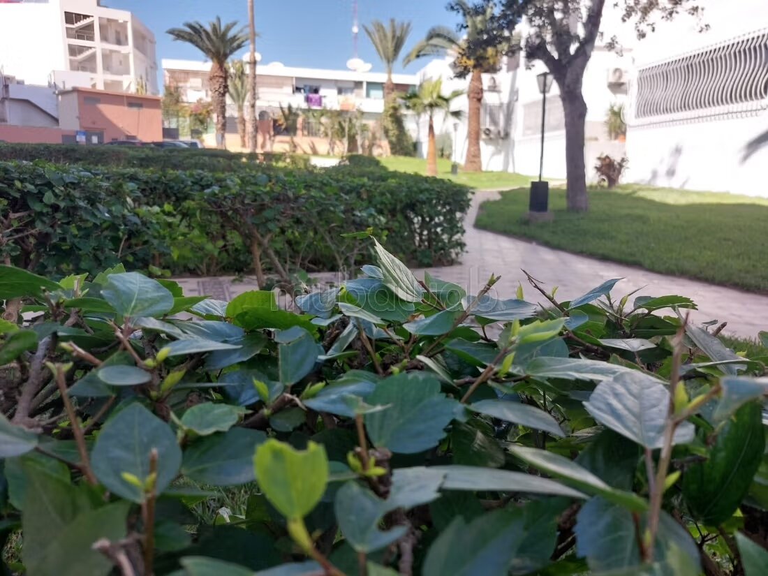 Villa à vendre à Agadir — Photo 8