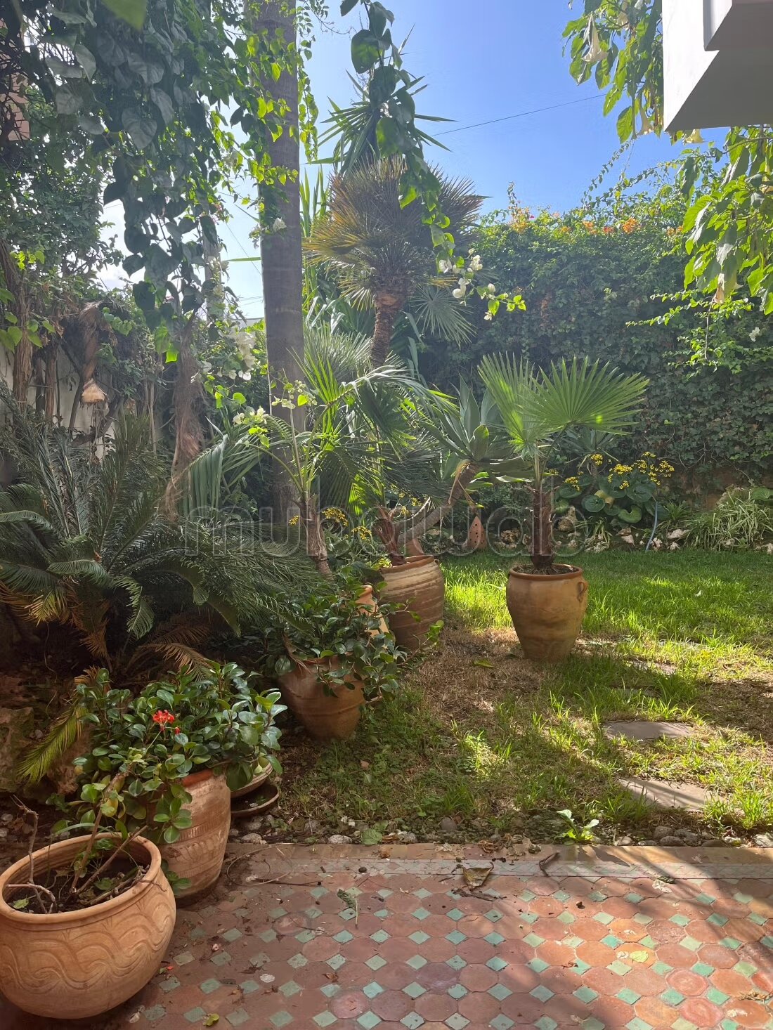 Cil location villa 4 chambres jardin