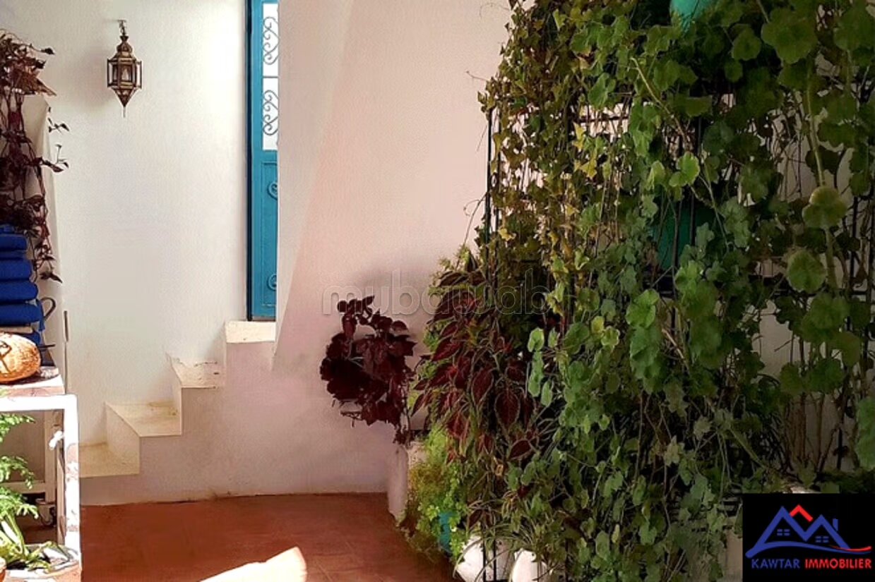 Riad 70 m² à vendre à Essaouira — Photo 12