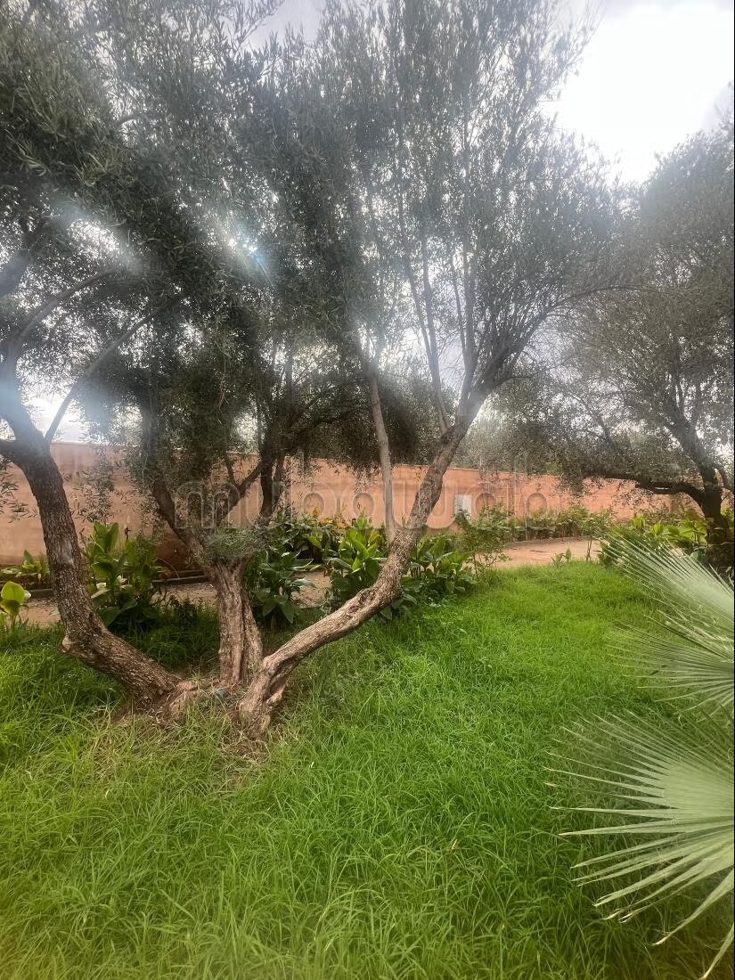 Villa 1140 m² for sale in Marrakech — Photo 12