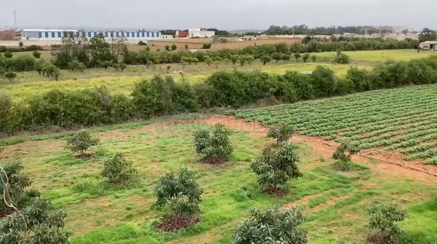 À louer: Ferme agricole équipée