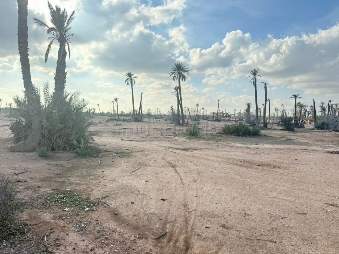 أرض للبيع في مراكش — Photo 2