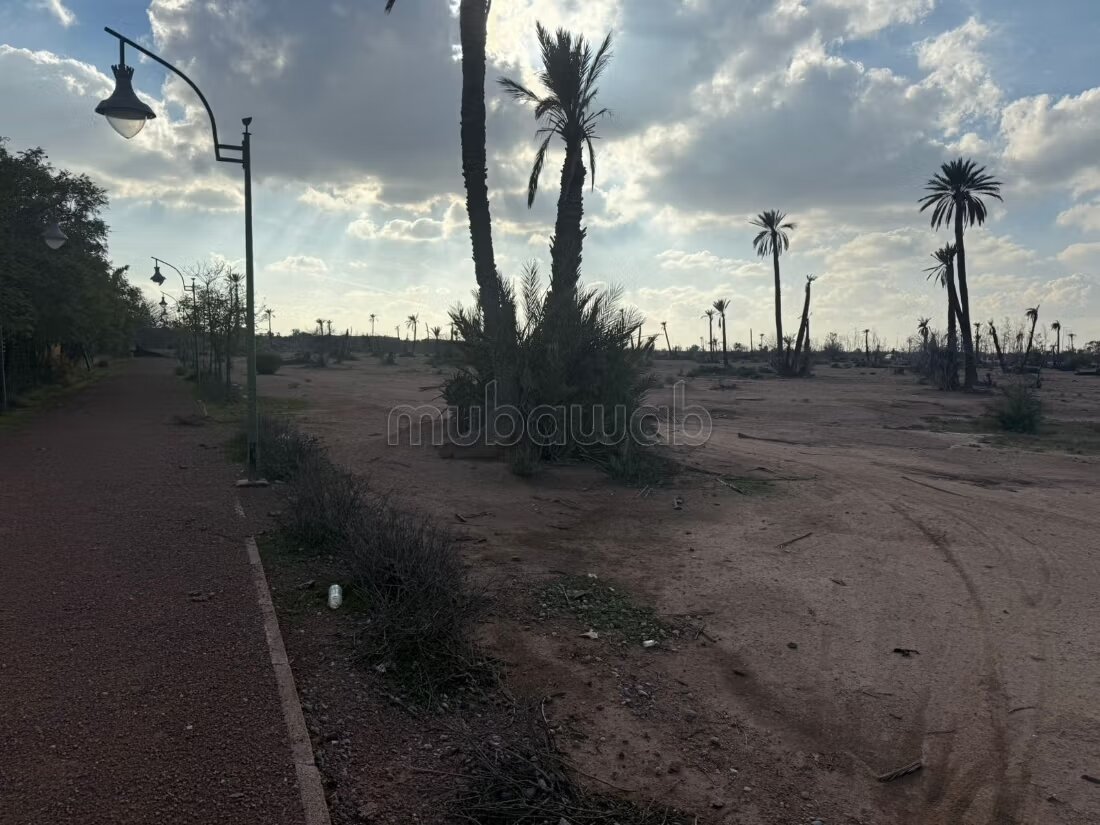 أرض للبيع في مراكش — Photo 3