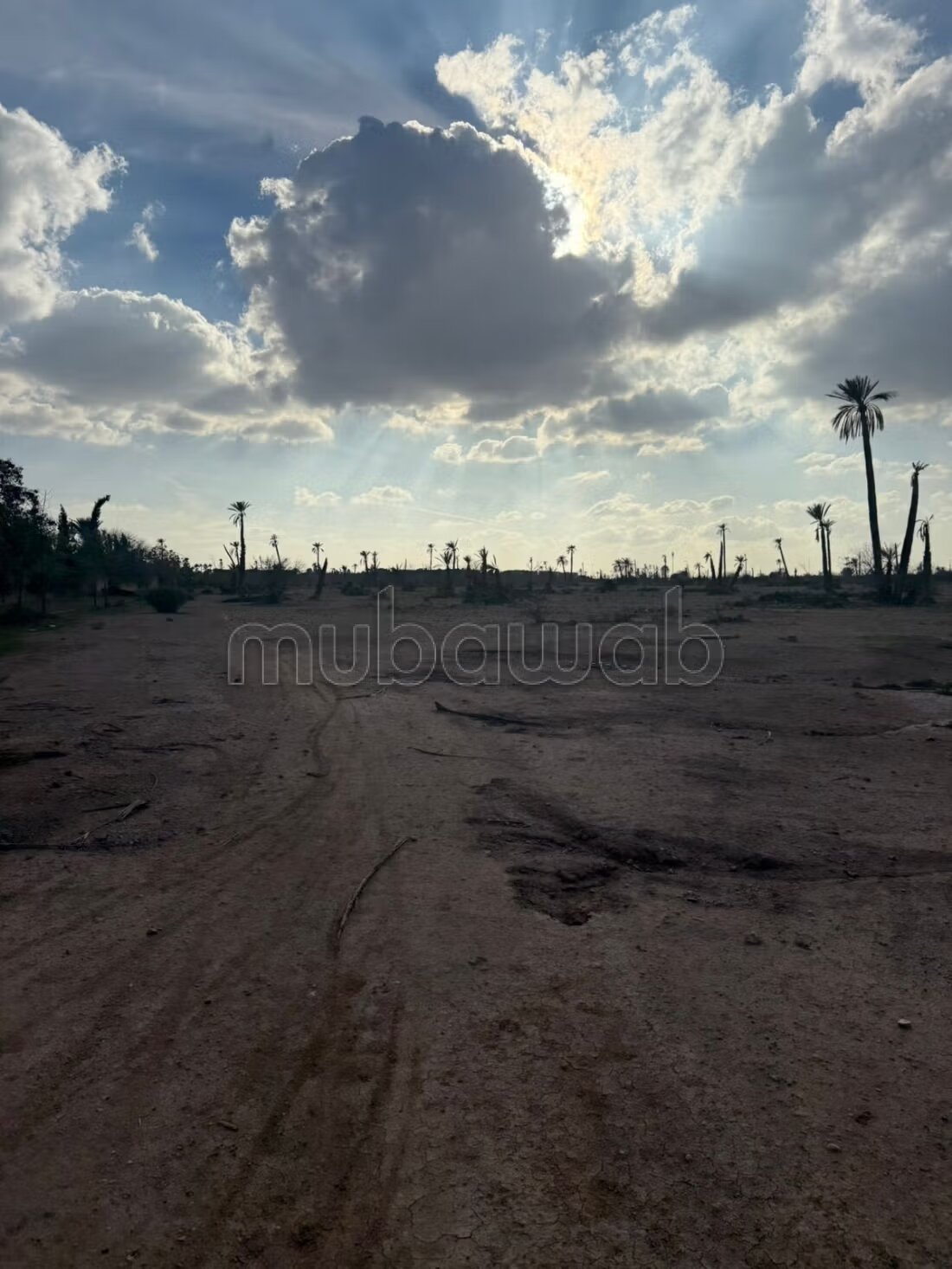 أرض للبيع في مراكش — Photo 4