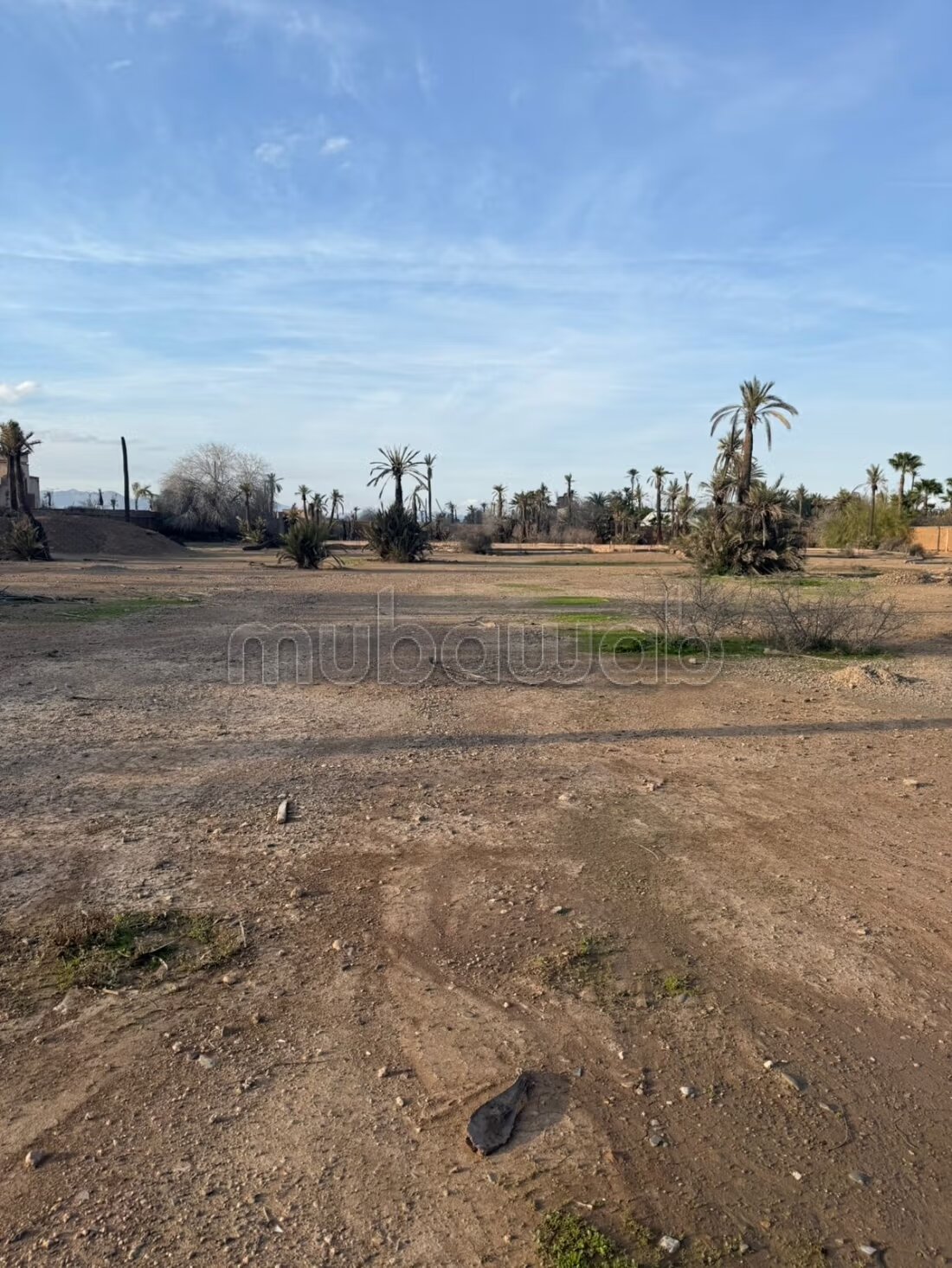 أرض للبيع في مراكش — Photo 5