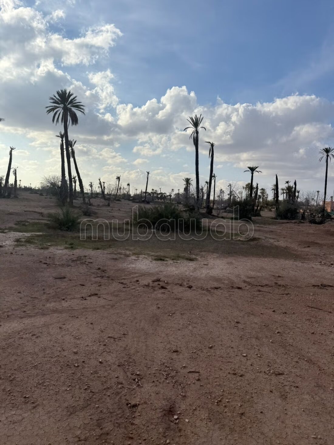 أرض للبيع في مراكش — Photo 6