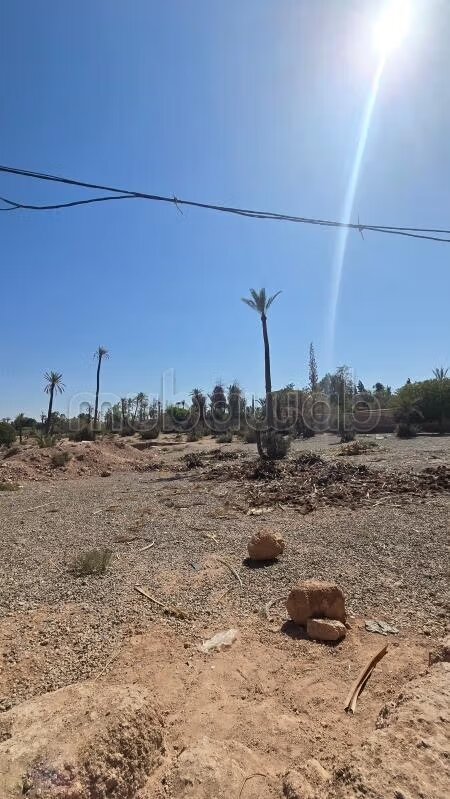 أرض للبيع في مراكش — Photo 7