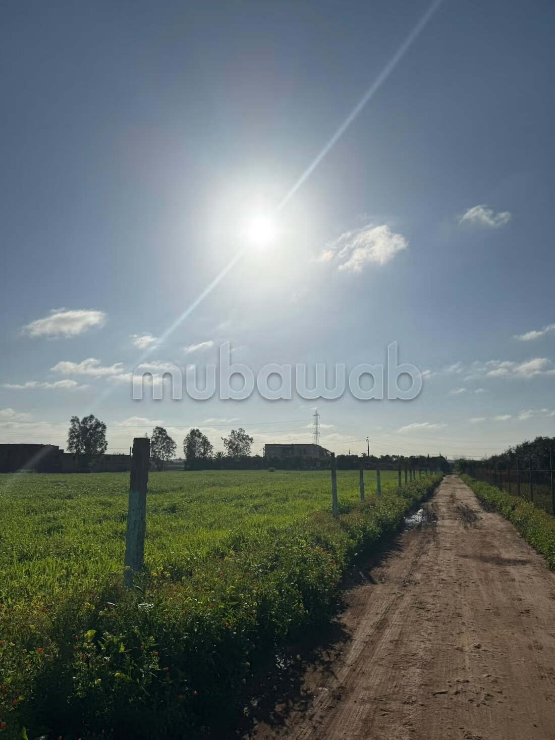 Maison avec terrain à louer