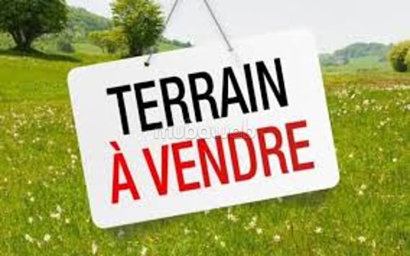 Terrain agricole 69 Hectares à vendre à El Mansouria à El Mansouria