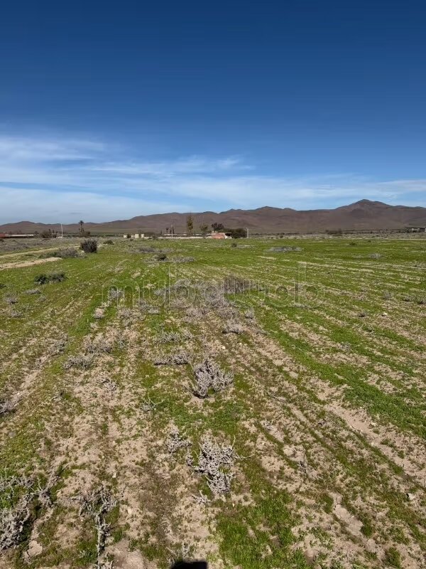 Land 1100 m² for sale in Marrakech - Route de Fez — Photo 11