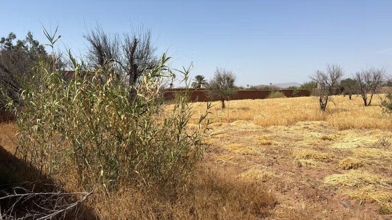 Land 1100 m² for sale in Marrakech - Route de Fez — Photo 13