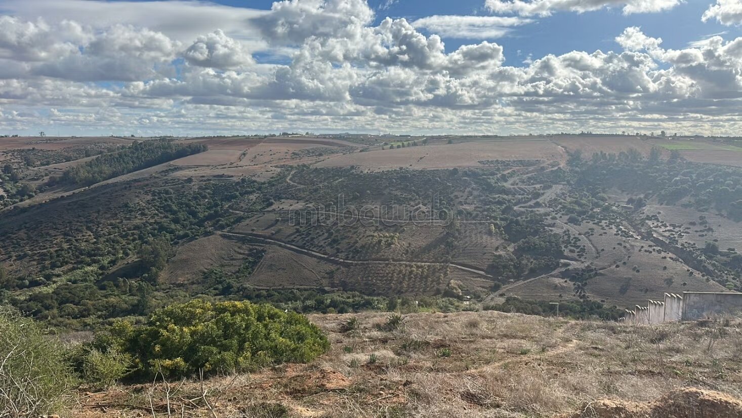 Terrain 2 424 m² à vendre à Souissi, Rabat à Rabat