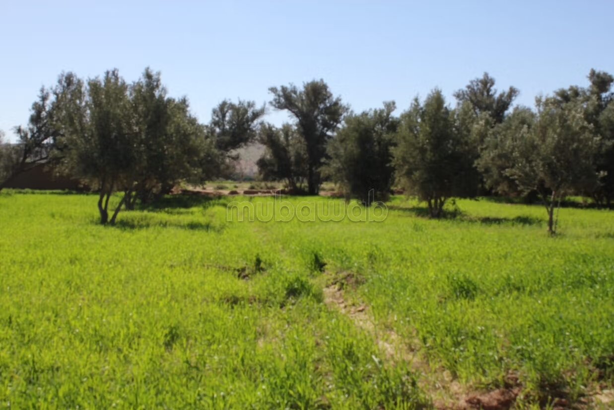 Terrain 3500 m² à vendre à Agadir à Agadir