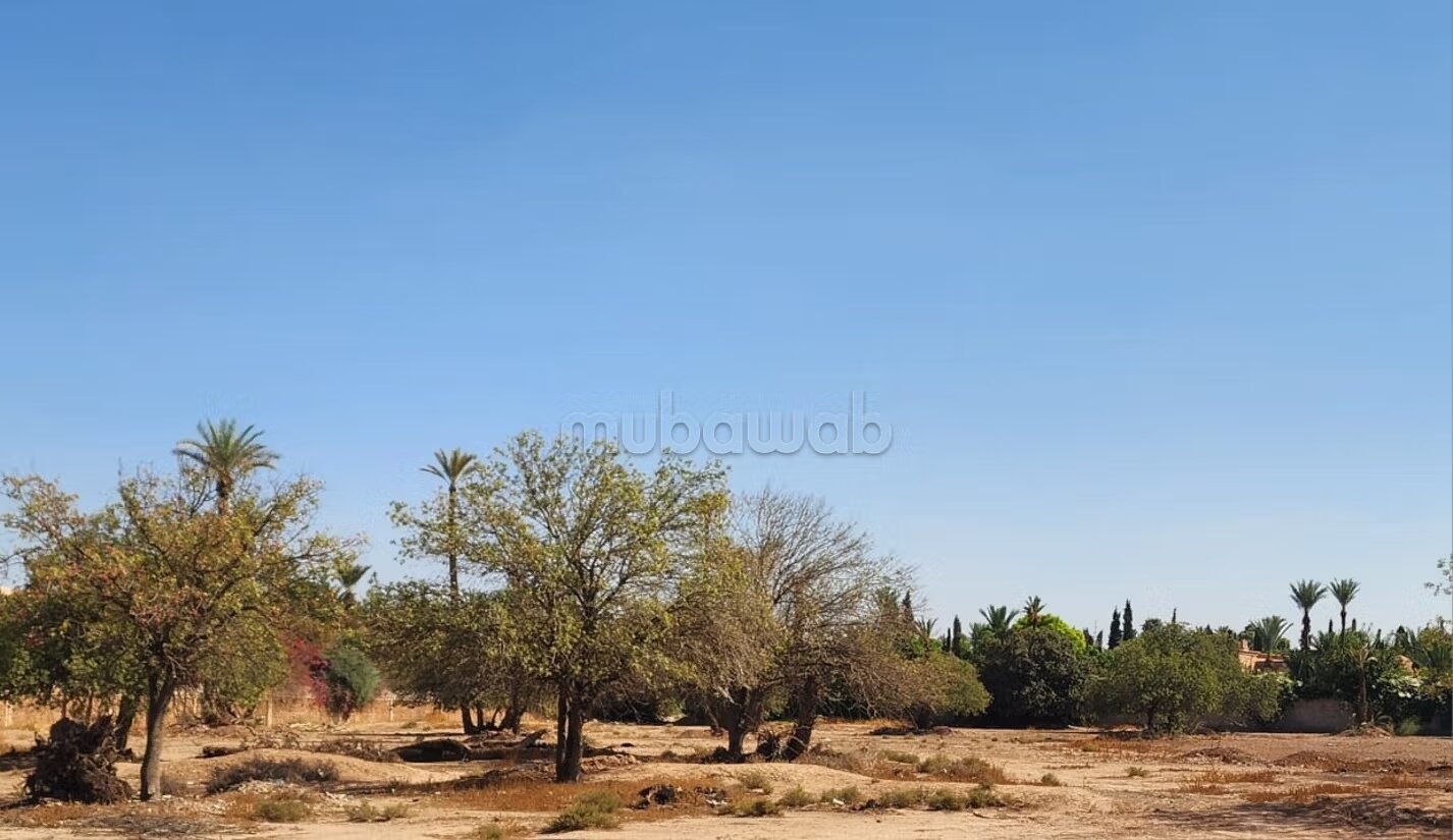 Rare terrain a vendre 
palmeraie triangle d'or
