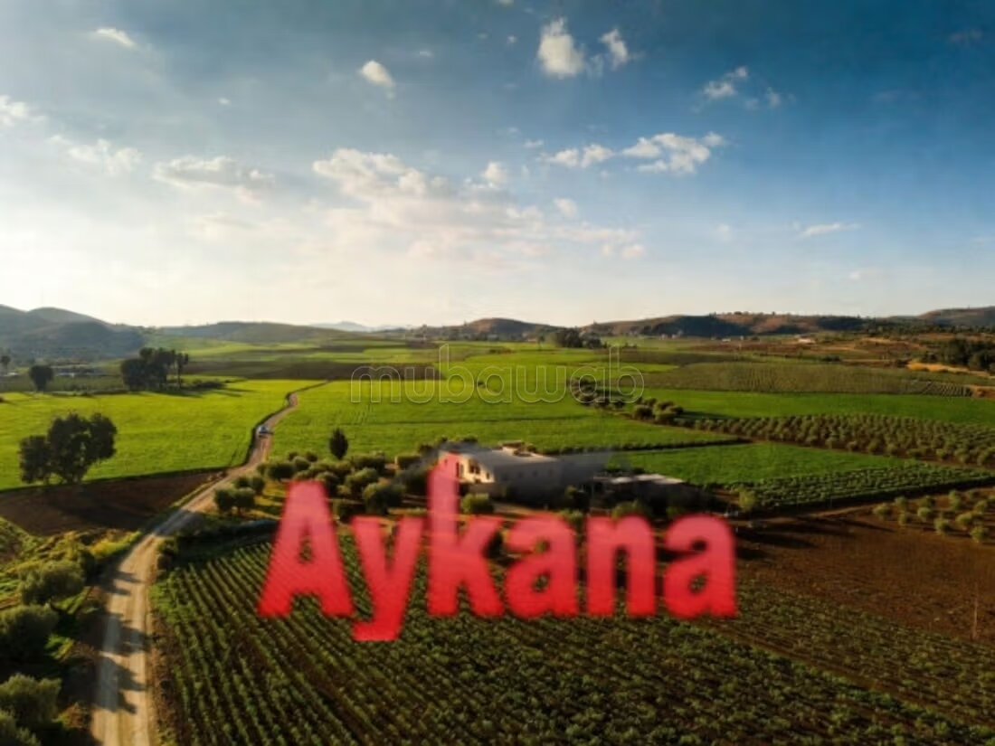 Vente ferme à Ain Aouda Nkheila