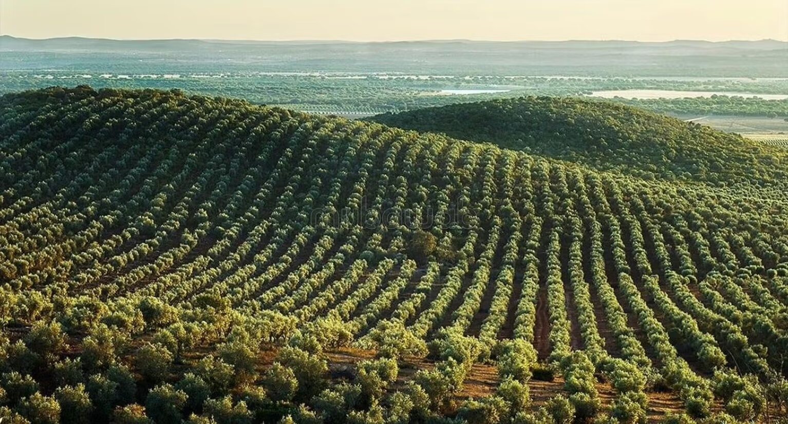 Une vaste exploitation agricole de 96 hectares