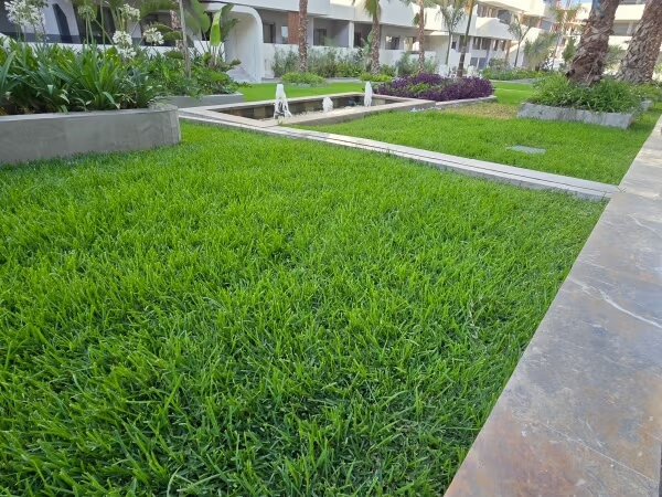 Appartement 87 m² à louer à Casablanca – Californie — Photo 17