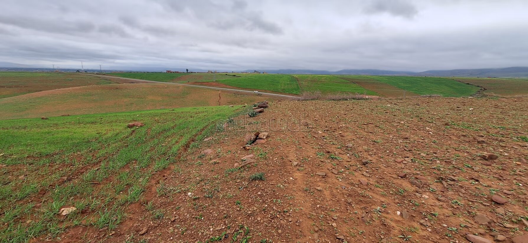 Agricultural land 3.7 ha for sale in Tahnaout — Photo 2