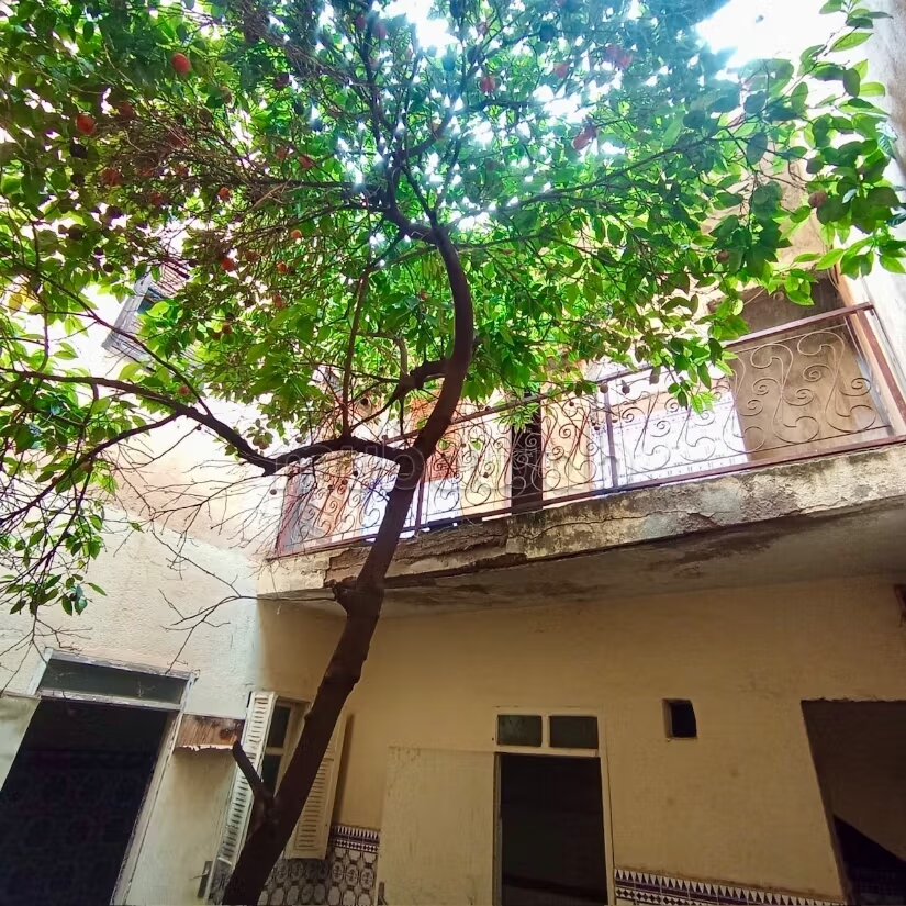 Riad à vendre à Marrakech — Photo 4