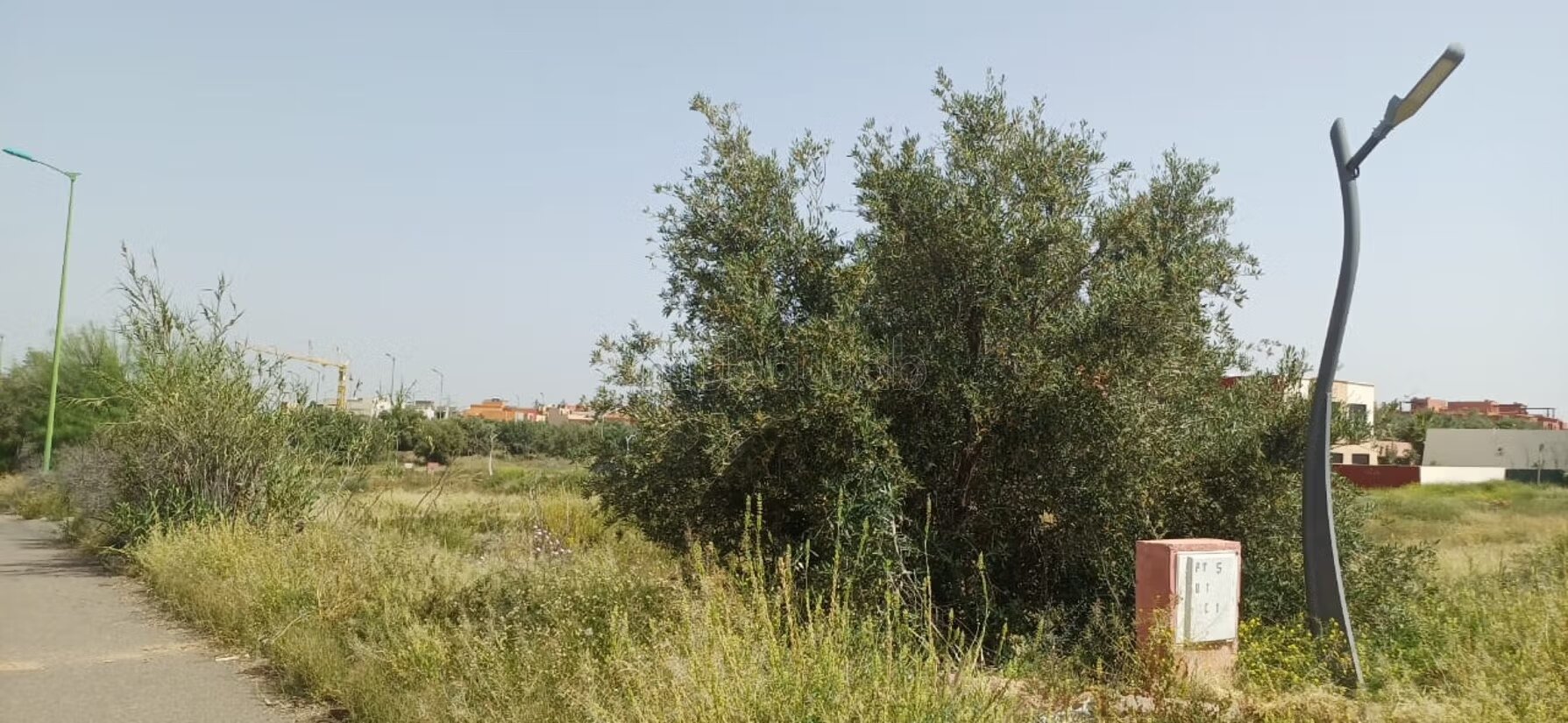 Land 250 m² for Sale in Marrakech — Photo 6