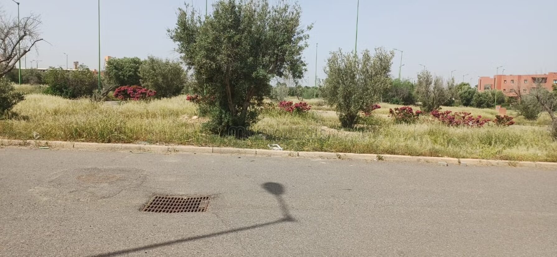 Land 250 m² for Sale in Marrakech — Photo 10