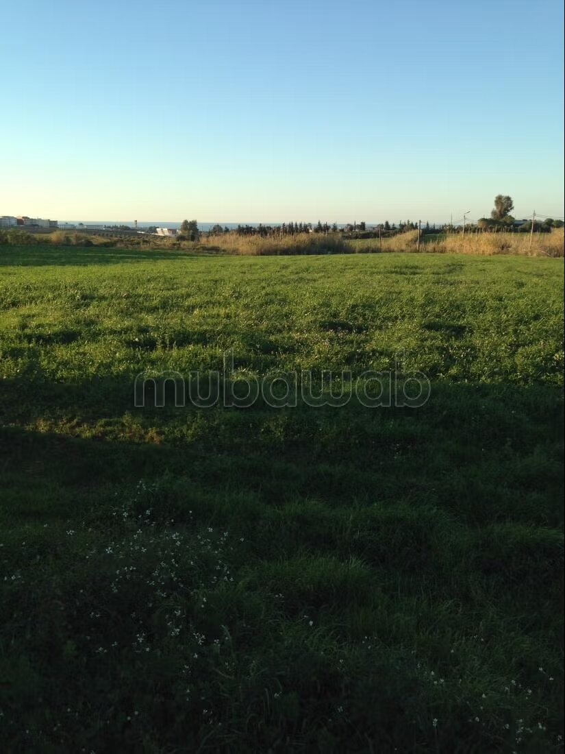 Terrain titre de 3 hectares à vendre à asilah