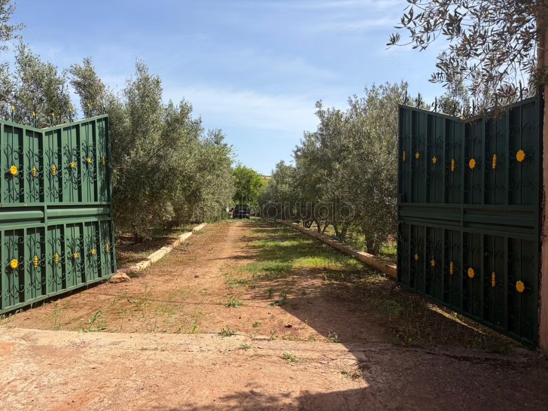 Ferme à vendre à côté de Rommani