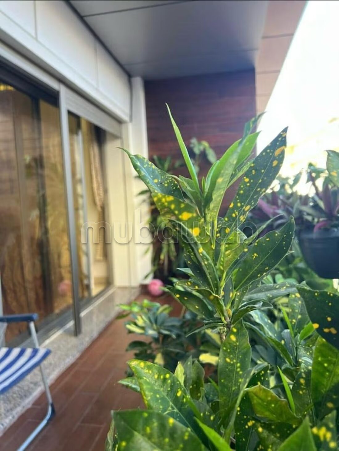 Appartement 201 m² à vendre à Tanger — Photo 262