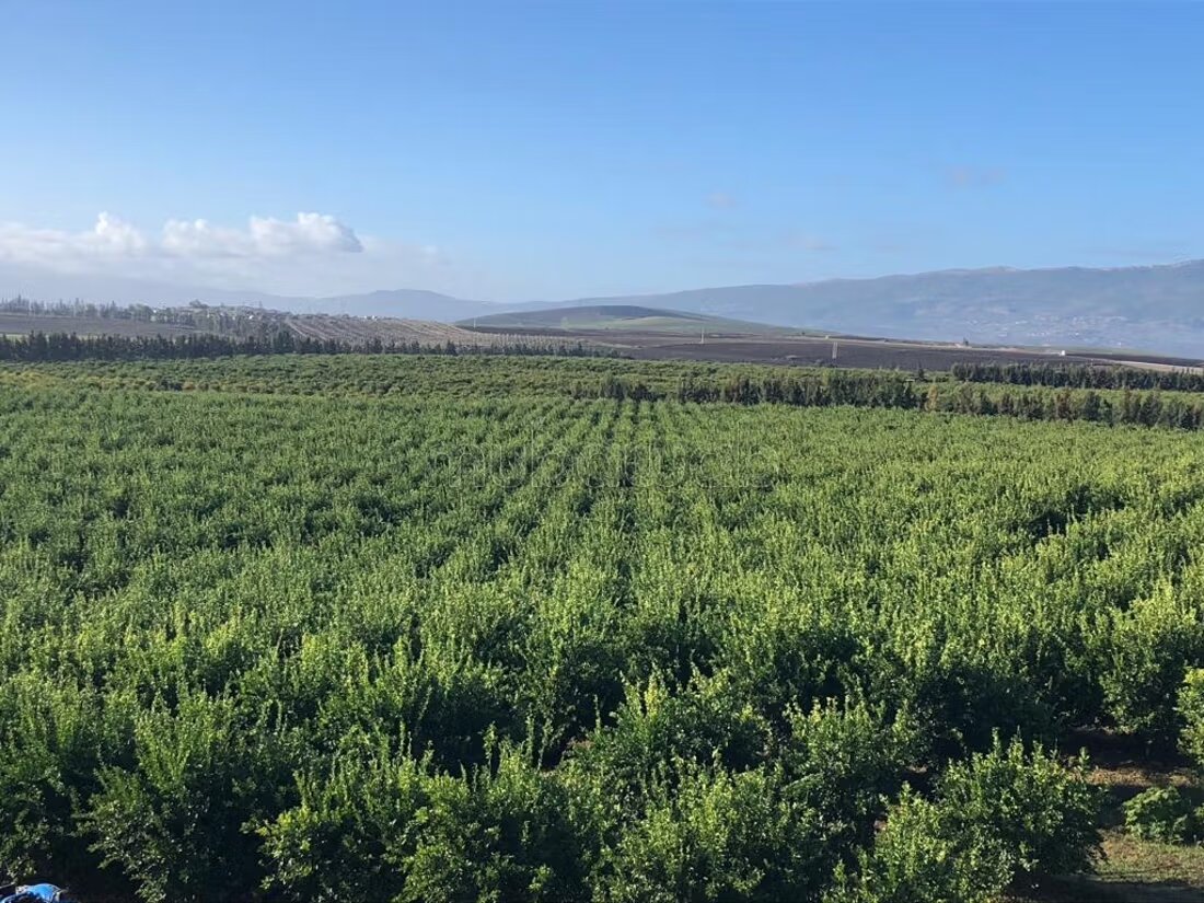 Une Ferme à vendre de 150 hectares