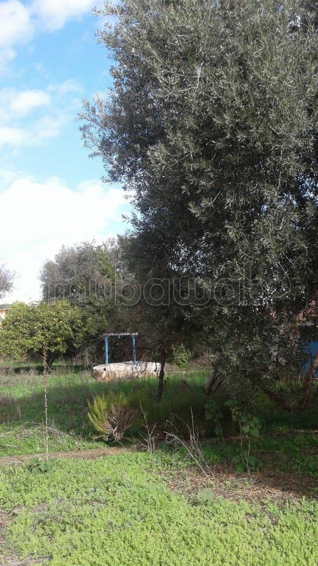 Villa 3000 m² à vendre à Meknès — Photo 3
