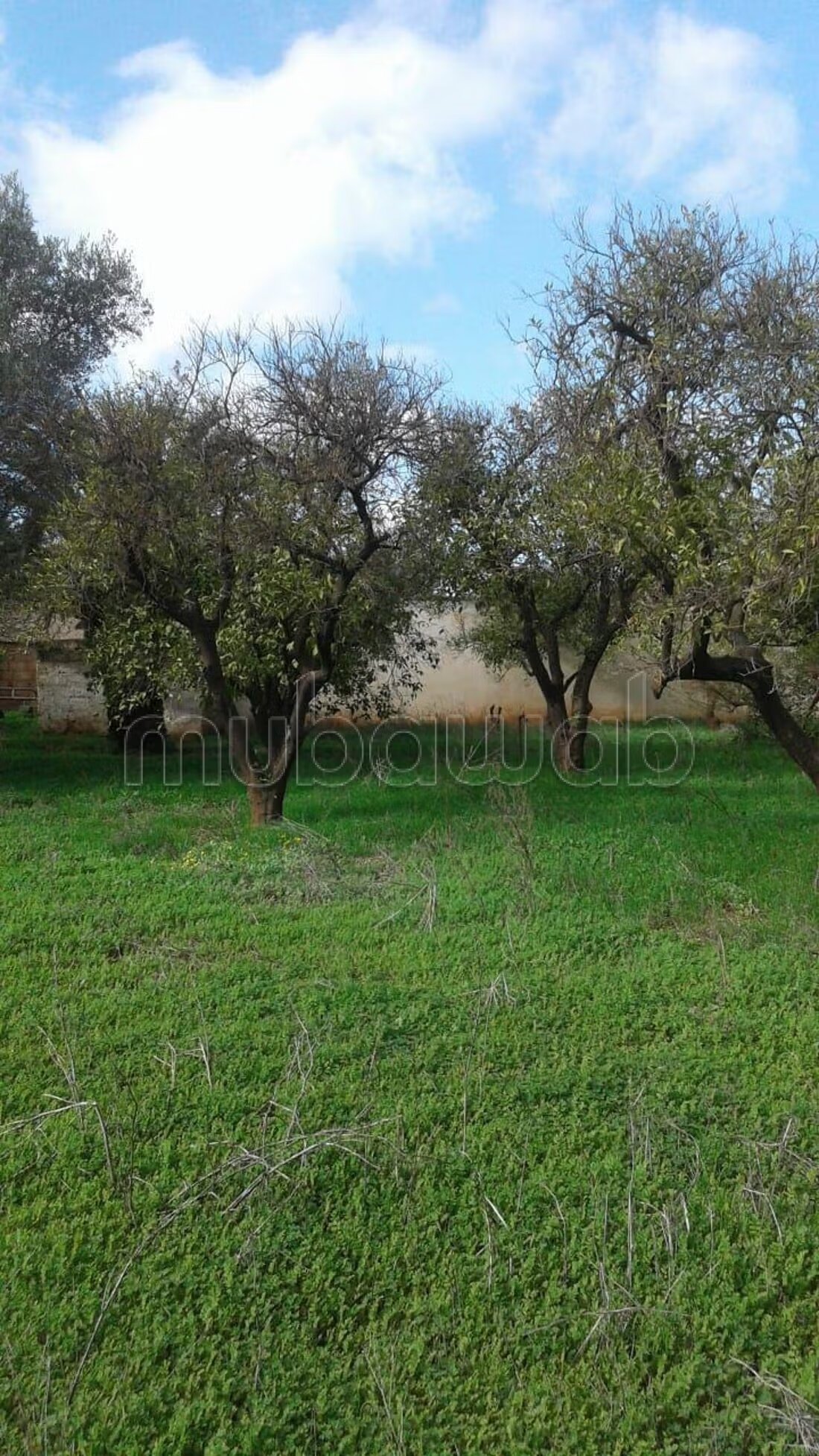 Villa 3000 m² à vendre à Meknès — Photo 5