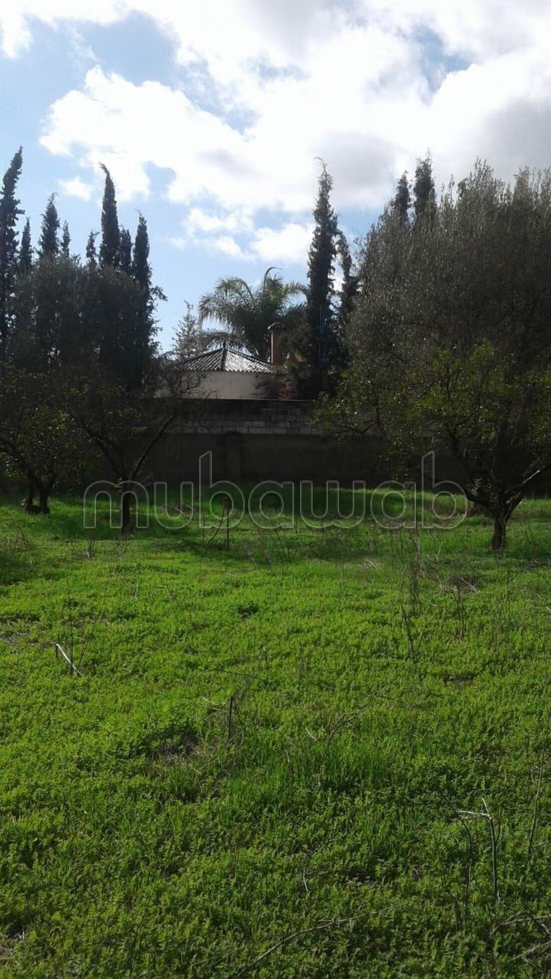 Villa 3000 m² à vendre à Meknès — Photo 6
