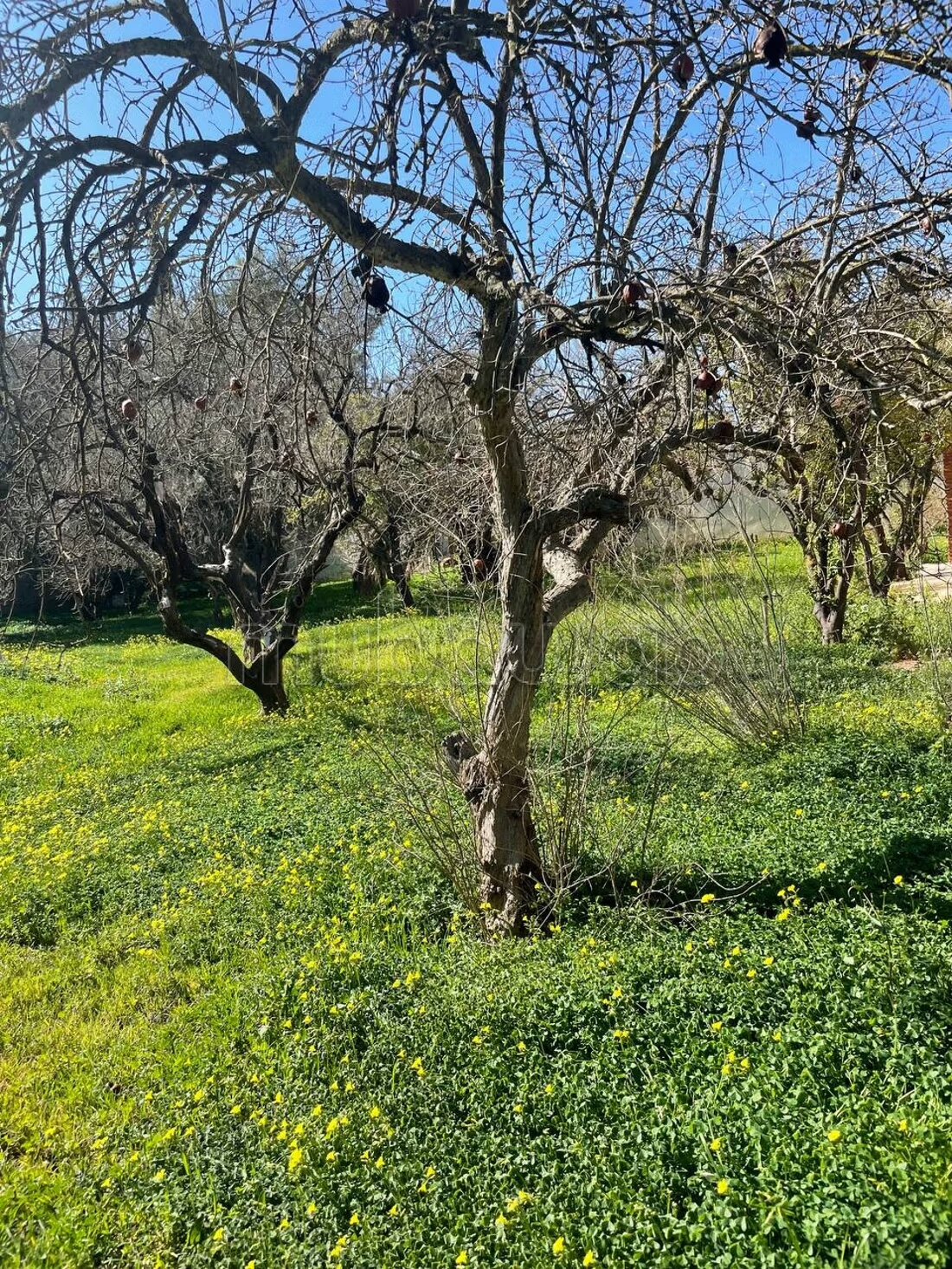 Villa 3000 m² à vendre à Meknès — Photo 13