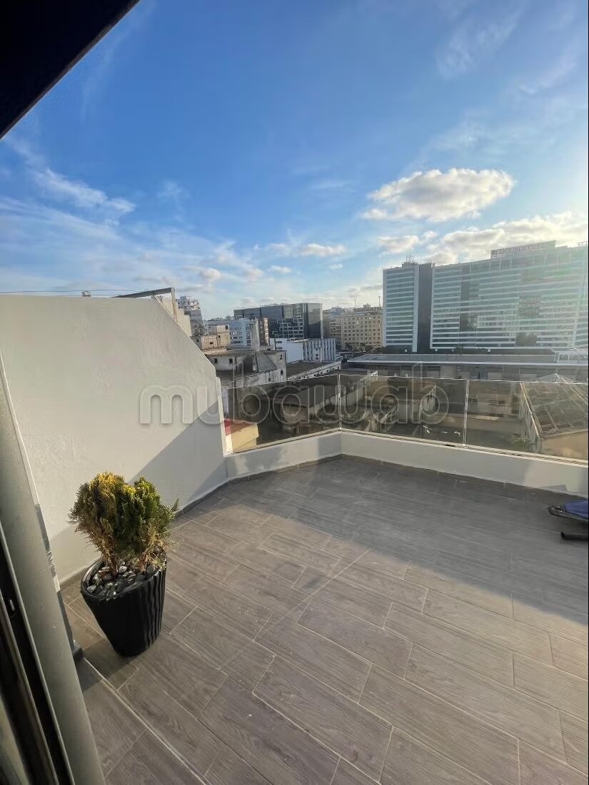 Bel appartement au 8 étage sans vis à vis en location longue...